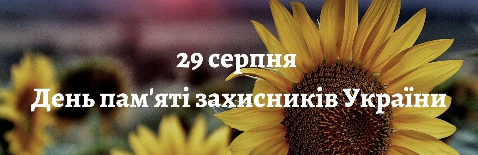 29 серпня в Україні відзначається День пам’яті захисників України