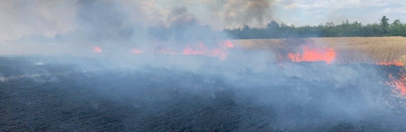 Обстріли окупантів призводять до знищення врожаю на Донеччині: за добу згоріло більше 70 га пшениці