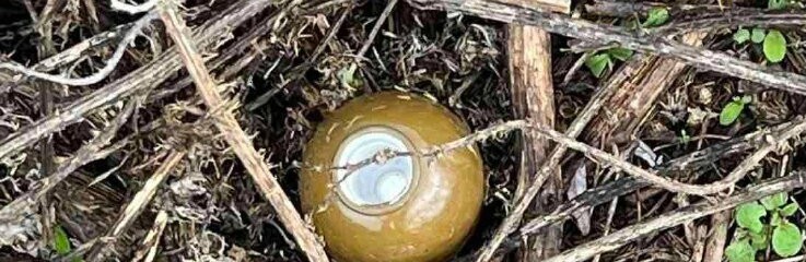 Під час централізованого підвозу питної води, у центрі села Піщане інспектори Муніципальної служби виявили бойову гранату 