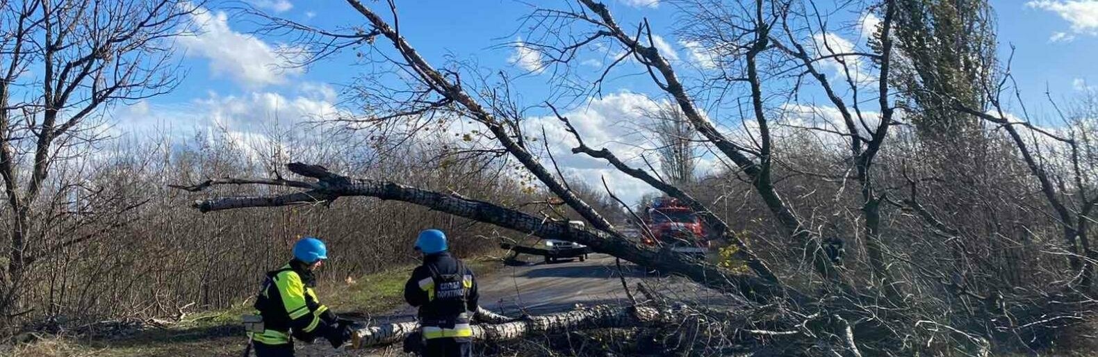 У Покровському та Добропільському районах через негоду попадали дерева