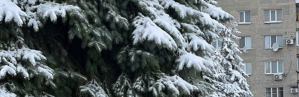 У Покровську випав перший сніг: фото