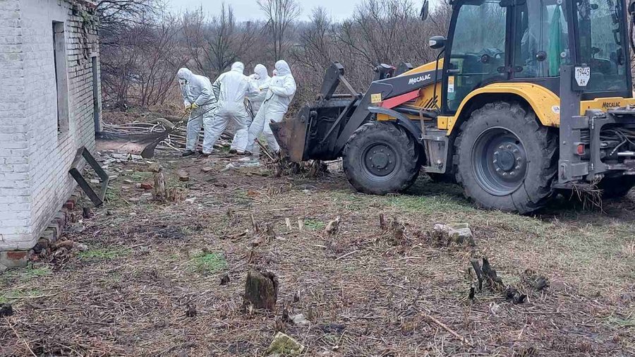 На Донеччині зафіксували випадок африканської чуми у свиней — село на карантині