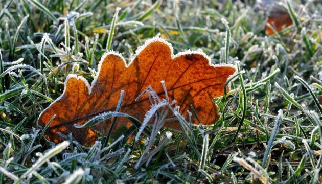 Увага! На території Донецької області вночі та вранці 10 жовтня очікуються заморозки