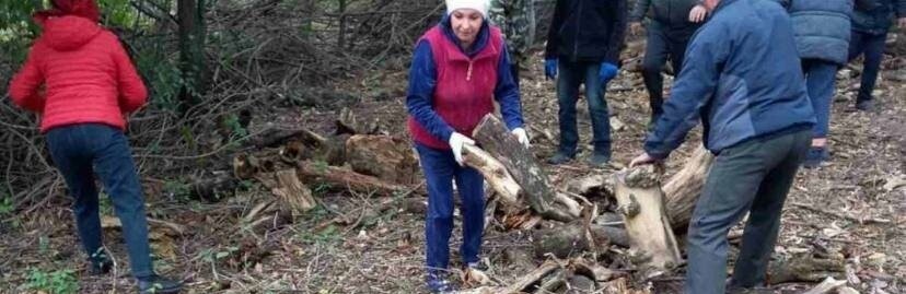 В Покровській громаді розпочинаються громадські осінні толоки