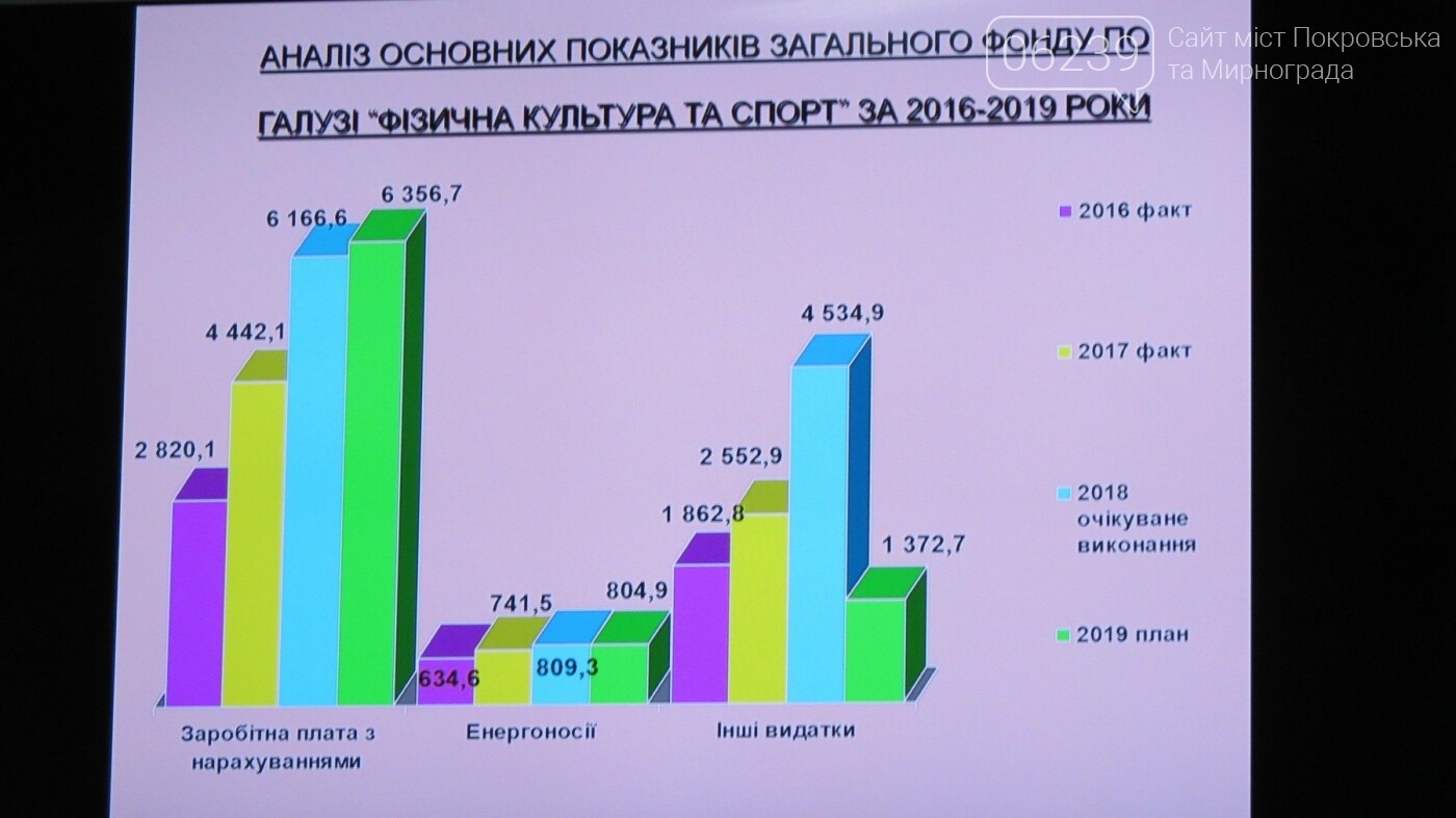 Бюджет Покровска-2019: капитальный ремонт ДЮСШ и СК "Факел..., фото-3 Бюджет Покровска-2019: капитальный ремонт ДЮСШ и СК "Факел", а также покупка нового ринга, фото-3