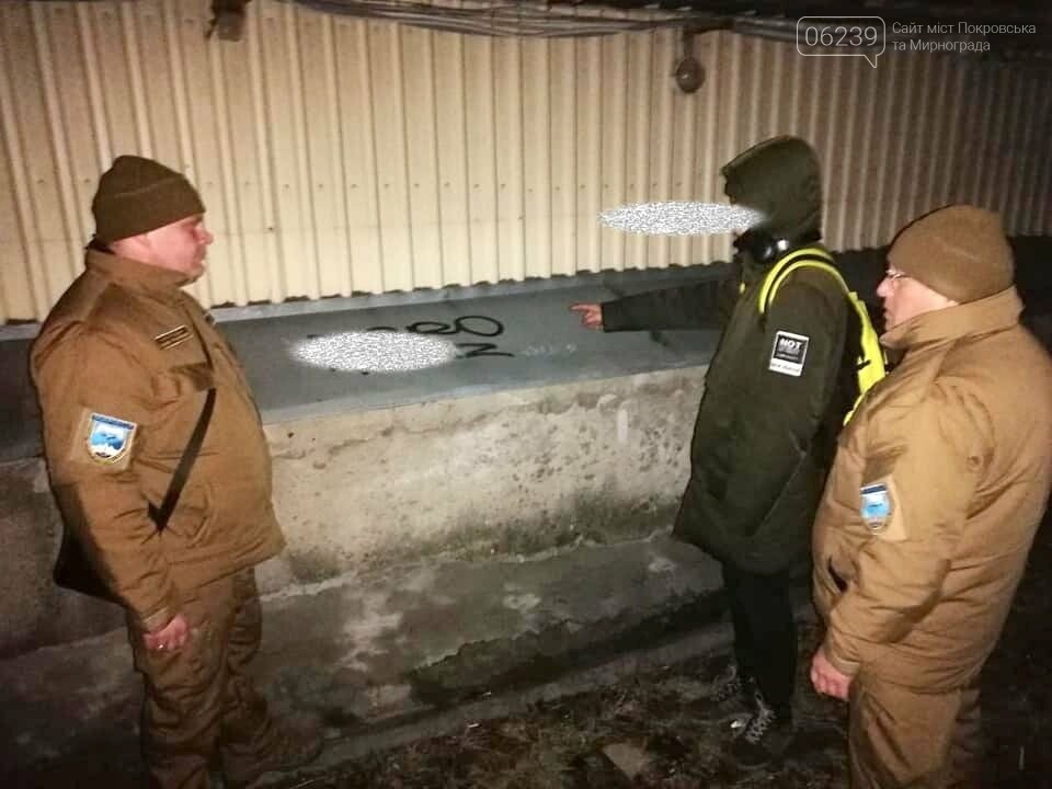 У Покровську спіймали порушника, який розмальовував фасади та паркани, фото-1