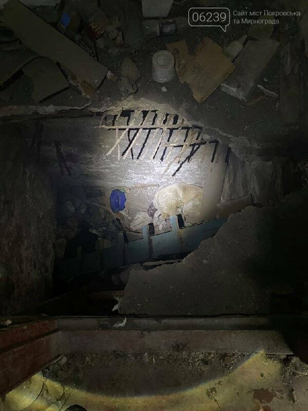 У Мирнограді бійці ДСНС врятували собаку, який провалився у льох, фото-1