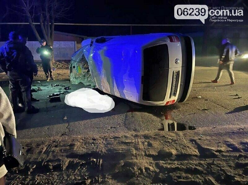 В полицию Покровска с повинной явился подозреваемый в смертельном ДТП, фото-2