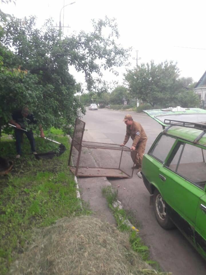 Муниципальная служба Покровска доставила в приют собаку, которая нападала на прохожих, фото-1