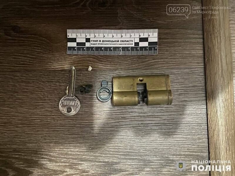 23 квартирні крадіжки розкрили з початку року оперативники Покровська, фото-1