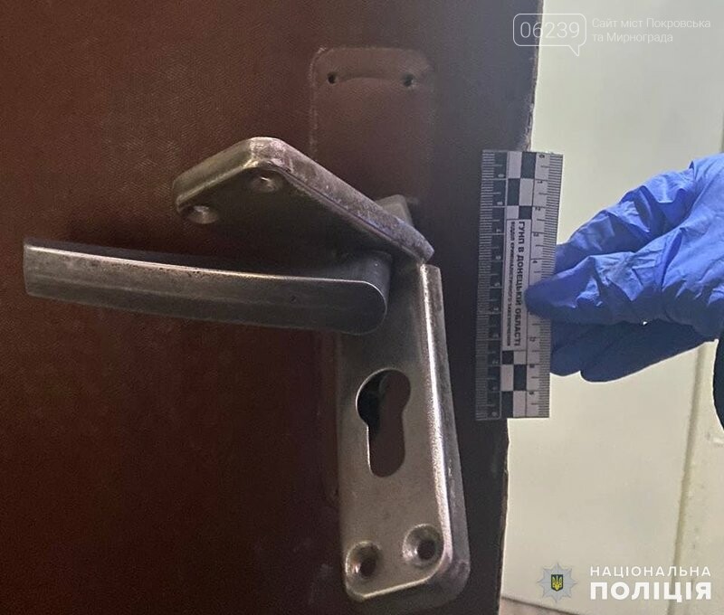 23 квартирні крадіжки розкрили з початку року оперативники Покровська, фото-3