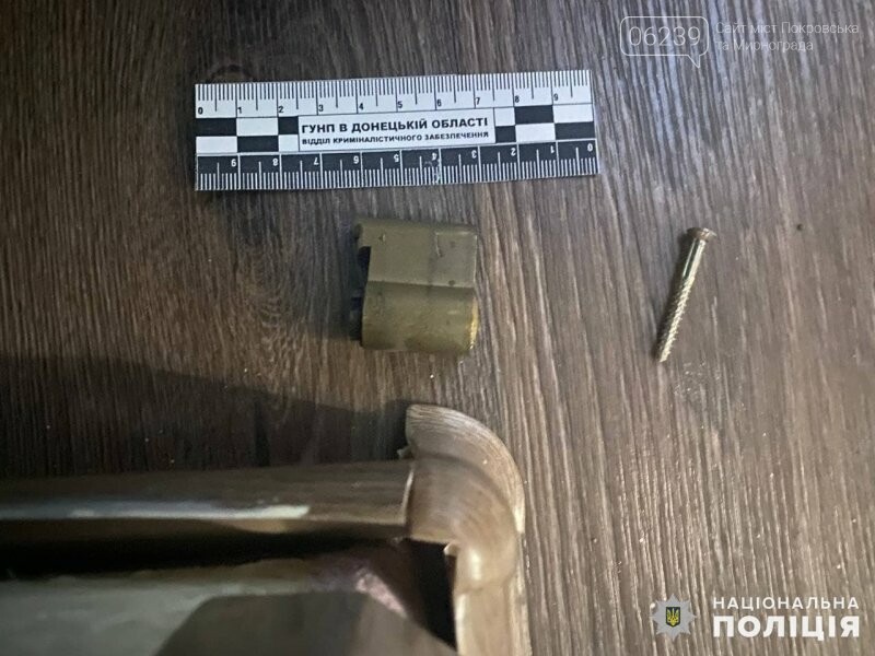 23 квартирні крадіжки розкрили з початку року оперативники Покровська, фото-4