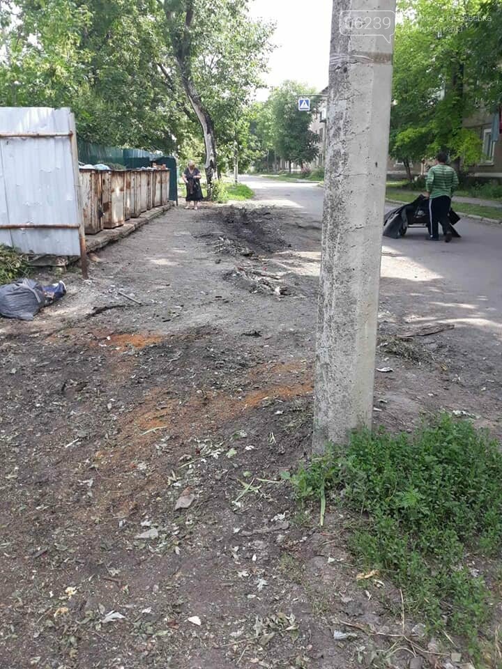 В Родинском оштрафовали за выброс мусора в неположенном месте , фото-4