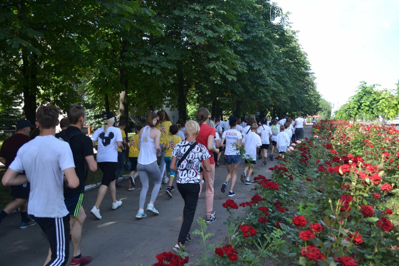 Массовый забег и 30-ти метровый флаг Украины: в Мирнограде отметили День Конституции, фото-11