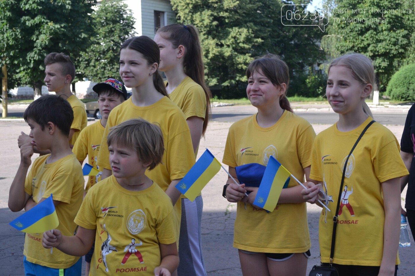 Массовый забег и 30-ти метровый флаг Украины: в Мирнограде отметили День Конституции, фото-31