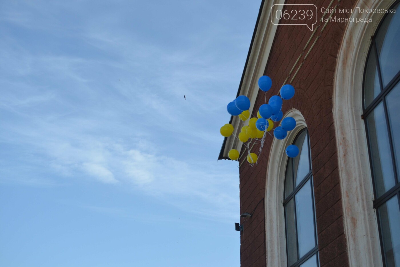 Массовый забег и 30-ти метровый флаг Украины: в Мирнограде отметили День Конституции, фото-37