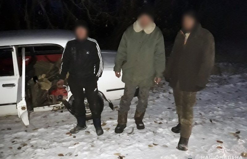 В Покровском районе задержали мужчину, который незаконно вырубал де... В Покровском районе задержали мужчину, который незаконно вырубал деревья, Вера Карпова