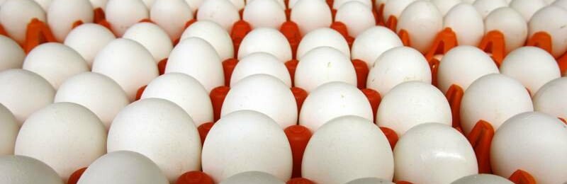 Покровчанам на заметку: десяток яиц скоро может подскочить в цене до 40 гривен
