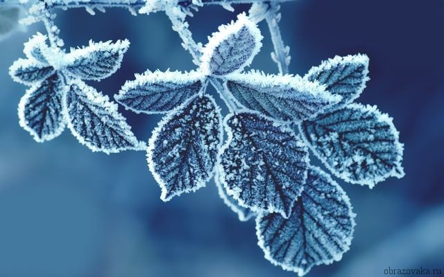 Мороз до -25°C и тепло до +6°C: синоптики рассказали, какую погоду ждать жителям Покровска