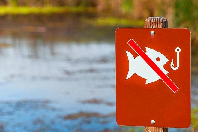 Покровским рыбакам: с апреля в Донецкой области запрещен лов рыбы