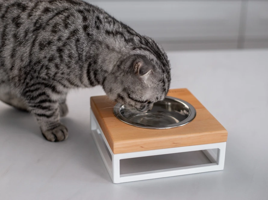 Lunch Bar Natural Wood White — одна миска на підставці