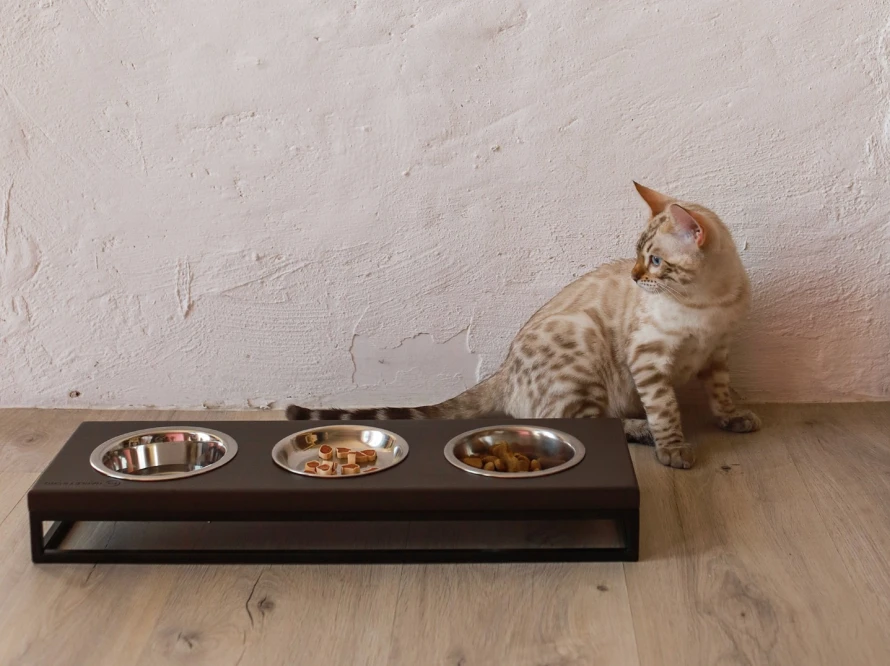 Lunch Bar Brown Wood Black — три миски на підставці