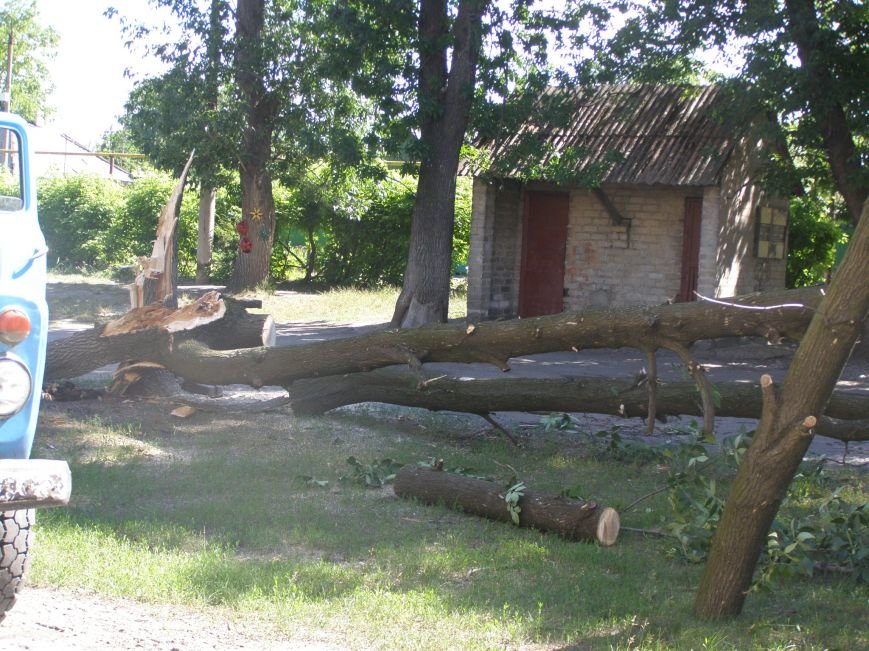 P6200789