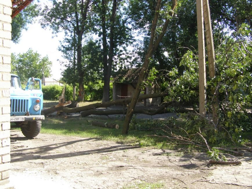 P6200786