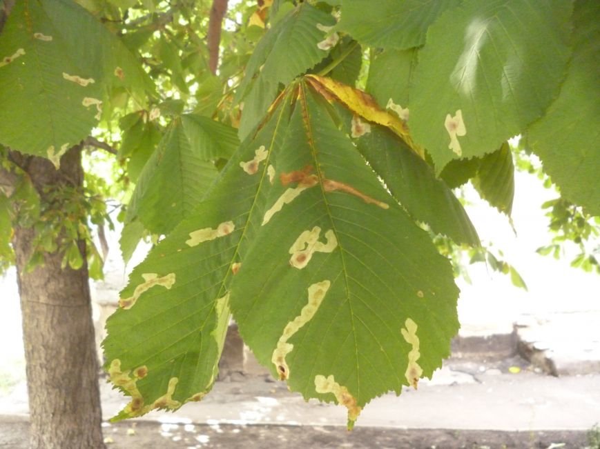 P1060504