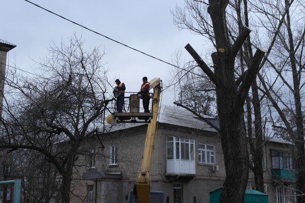 Опиловка деревьев в центре Красноармейска идет полным ходом (фото) - фото 3