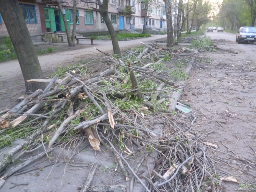 Опиловка в Красноармейске (Покровске): все завалено ветвями, ни проехать, ни пройти (фото) - фото 4