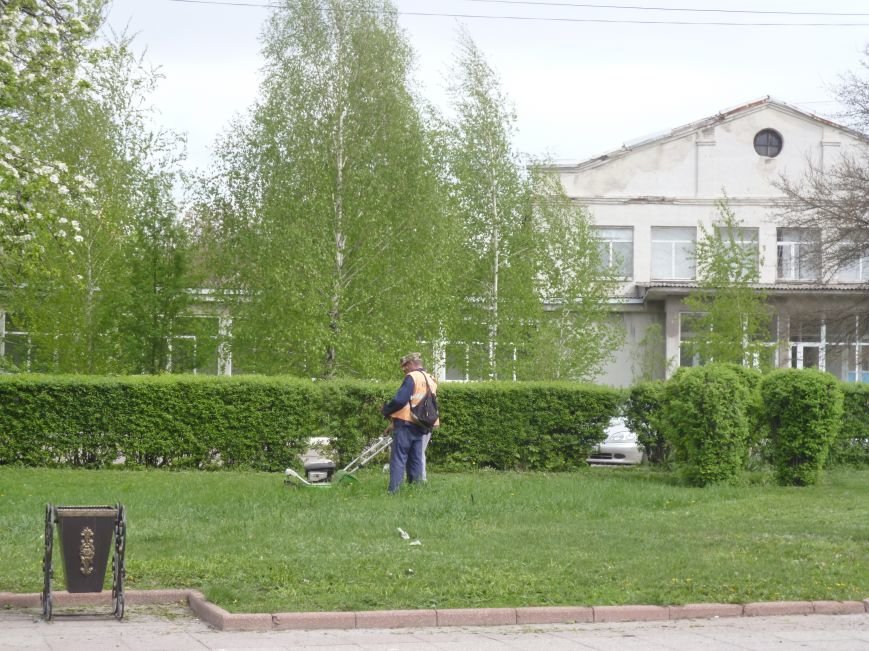 В Красноармейске (Покровске) принялись косить траву:  центральный газон города травинка к травинке (фото) - фото 1