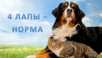 _4_lapy1_14186310525